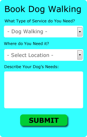 Free Honiton Dog Walker Quotes