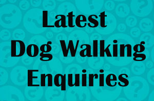 Nottinghamshire Dog Walking Enquiries