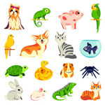 Shropshire Dog Walkers Near Me Ludlow Shropshire Dog Walkers Near Me Ludlow